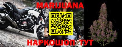 молекула духа Вышний Волочёк