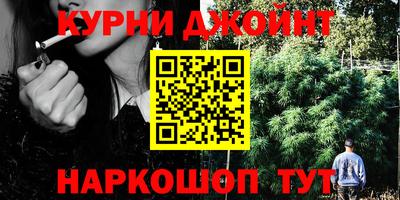 молекула духа Вышний Волочёк