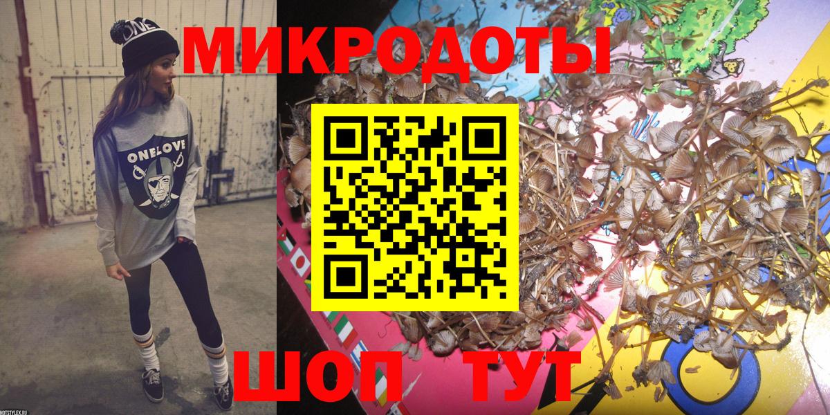 Псилоцибиновые грибы мицелий Волгоград