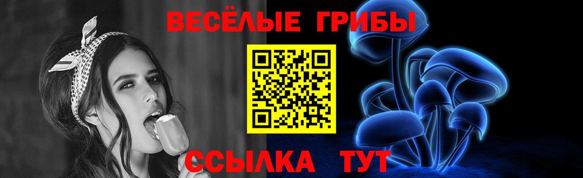 Волгоград  Галлюциногенные грибы MAGIC MUSHROOMS  хочу наркоту  Вход с VPN 